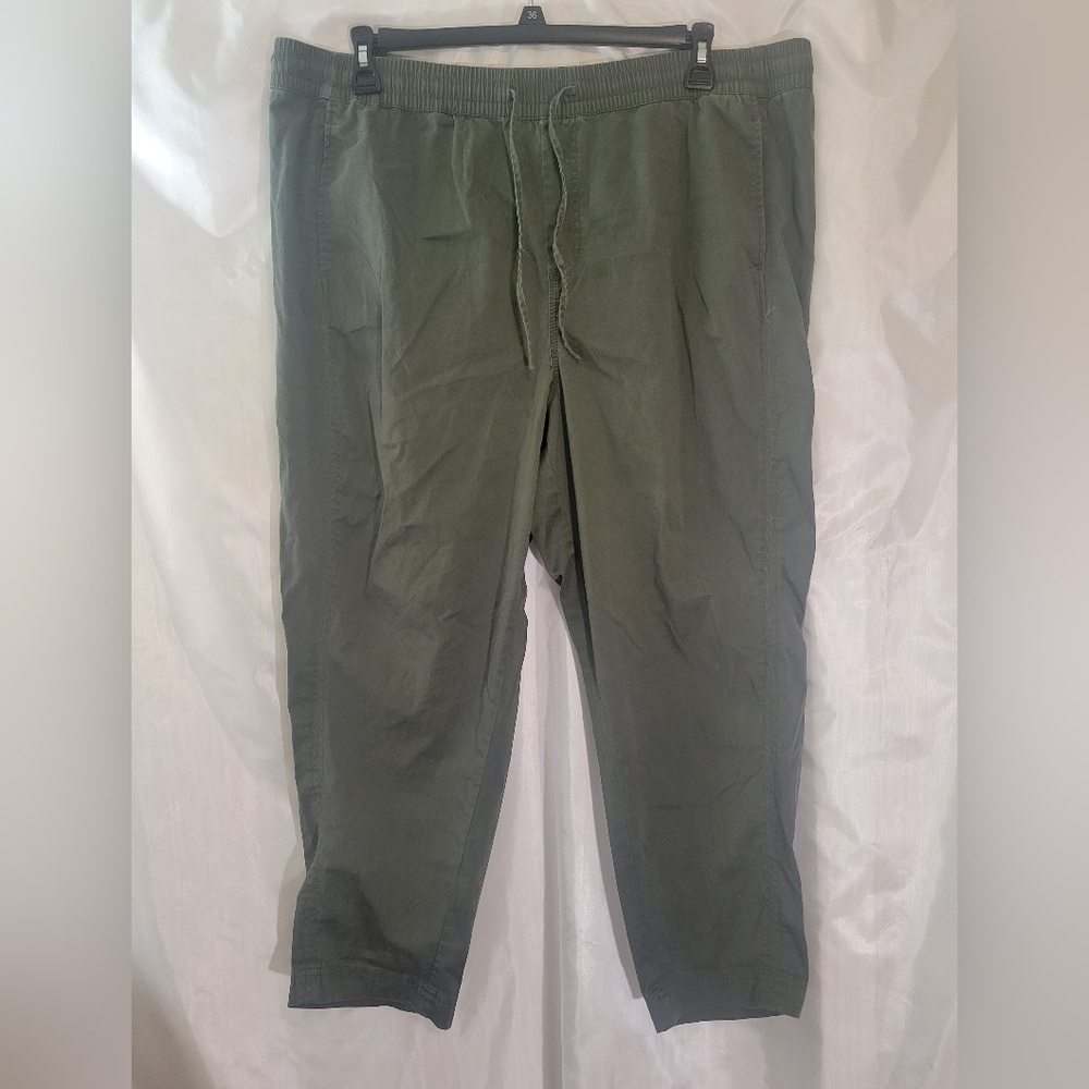 Loft drawstring pants